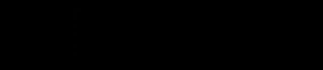 Hirmer Logo
